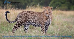 Liopad: Revolutionizing Personal Health and Fitness with Smart Technology