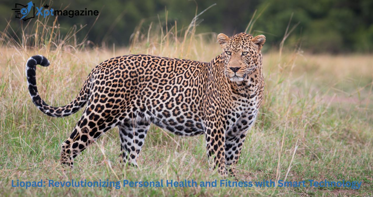 Liopad: Revolutionizing Personal Health and Fitness with Smart Technology