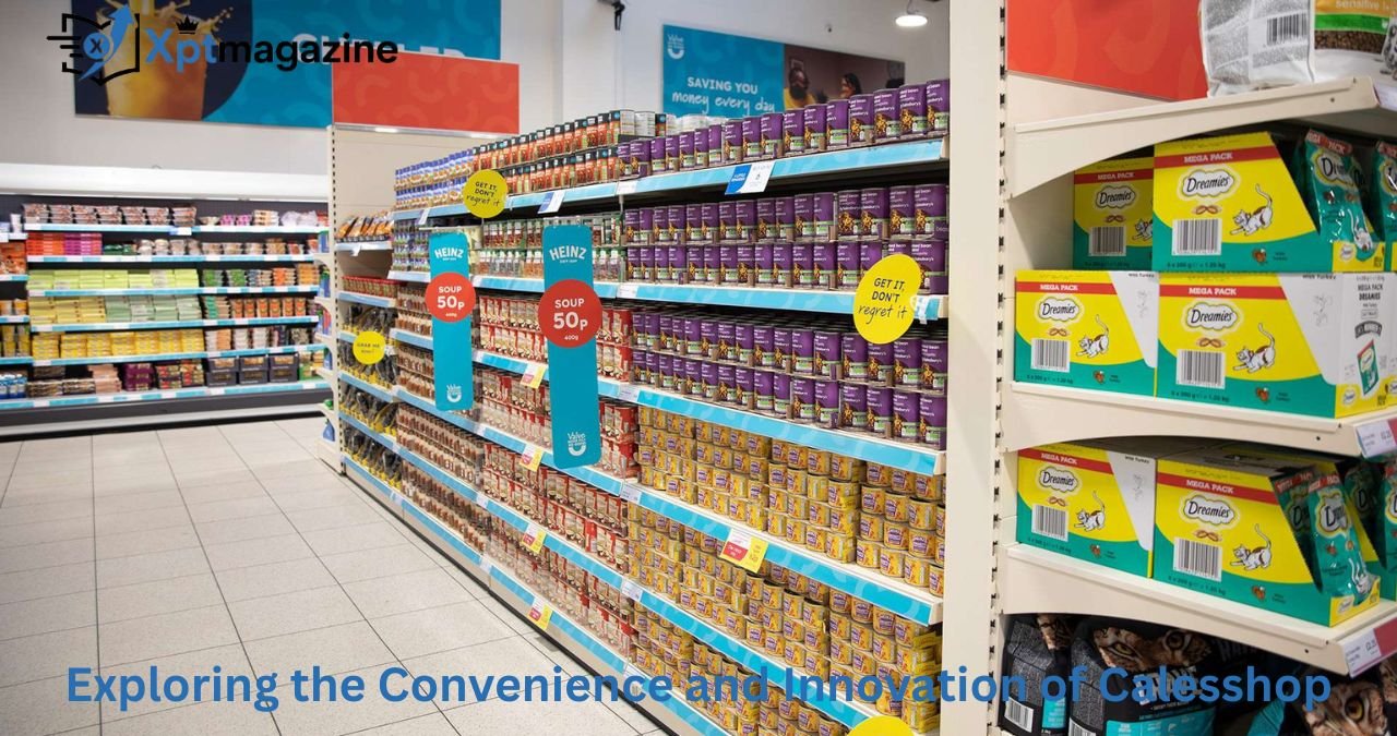 Exploring the Convenience and Innovation of Calesshop