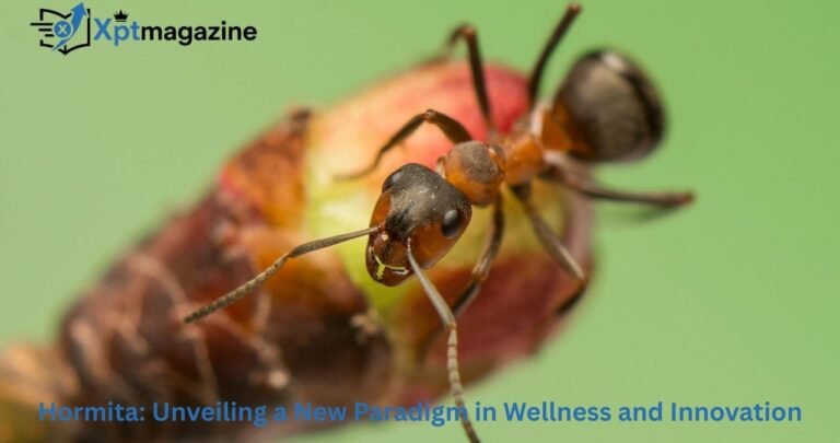 Hormita: Unveiling a New Paradigm in Wellness and Innovation
