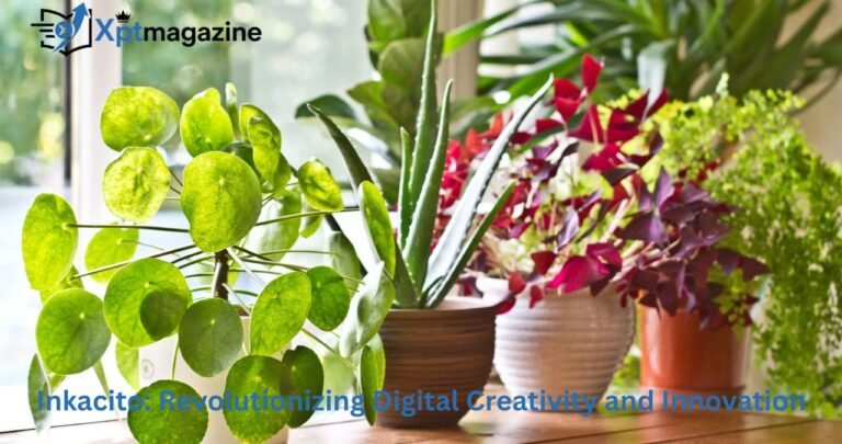 Inkacito: Revolutionizing Digital Creativity and Innovation