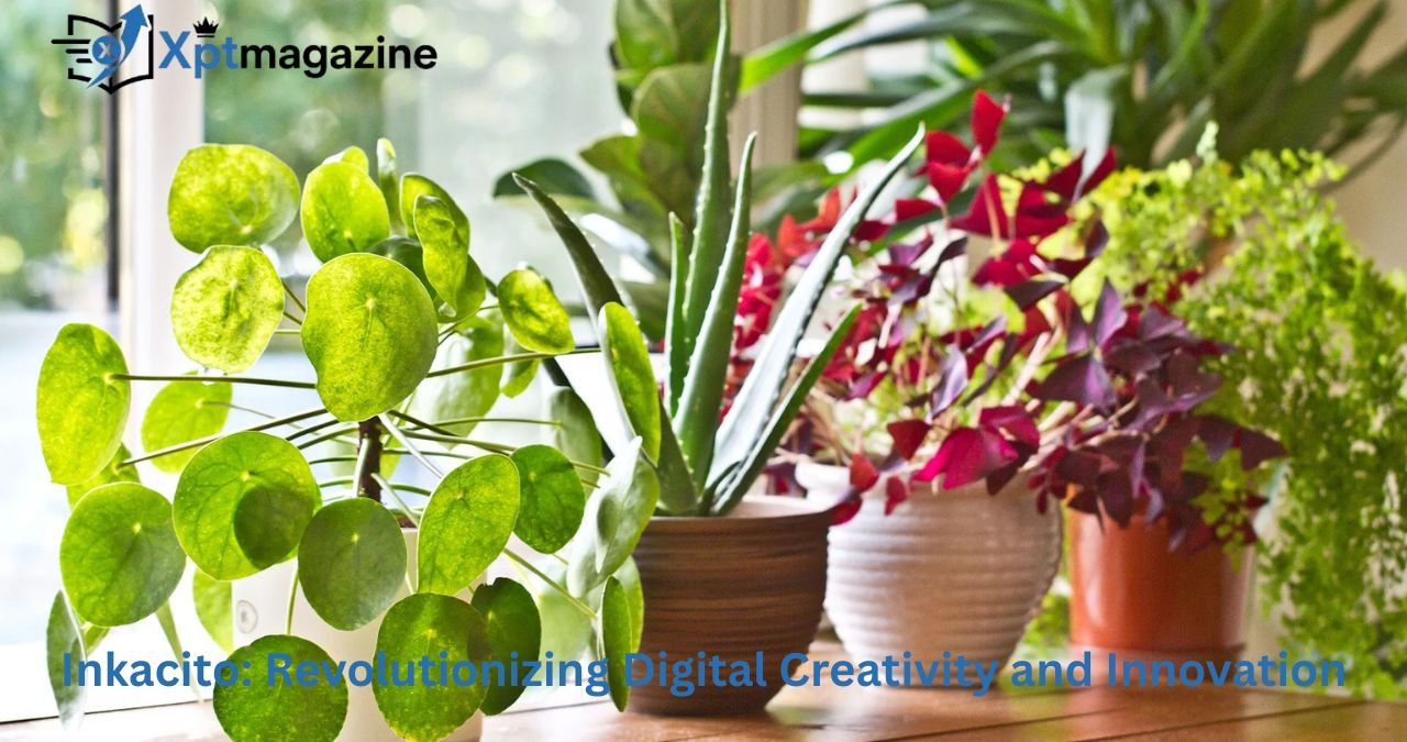 Inkacito: Revolutionizing Digital Creativity and Innovation