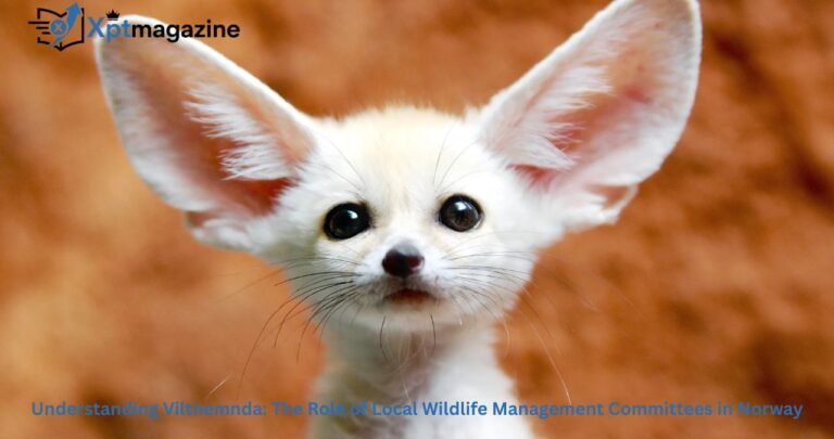 Understanding Viltnemnda: The Role of Local Wildlife Management Committees in Norway