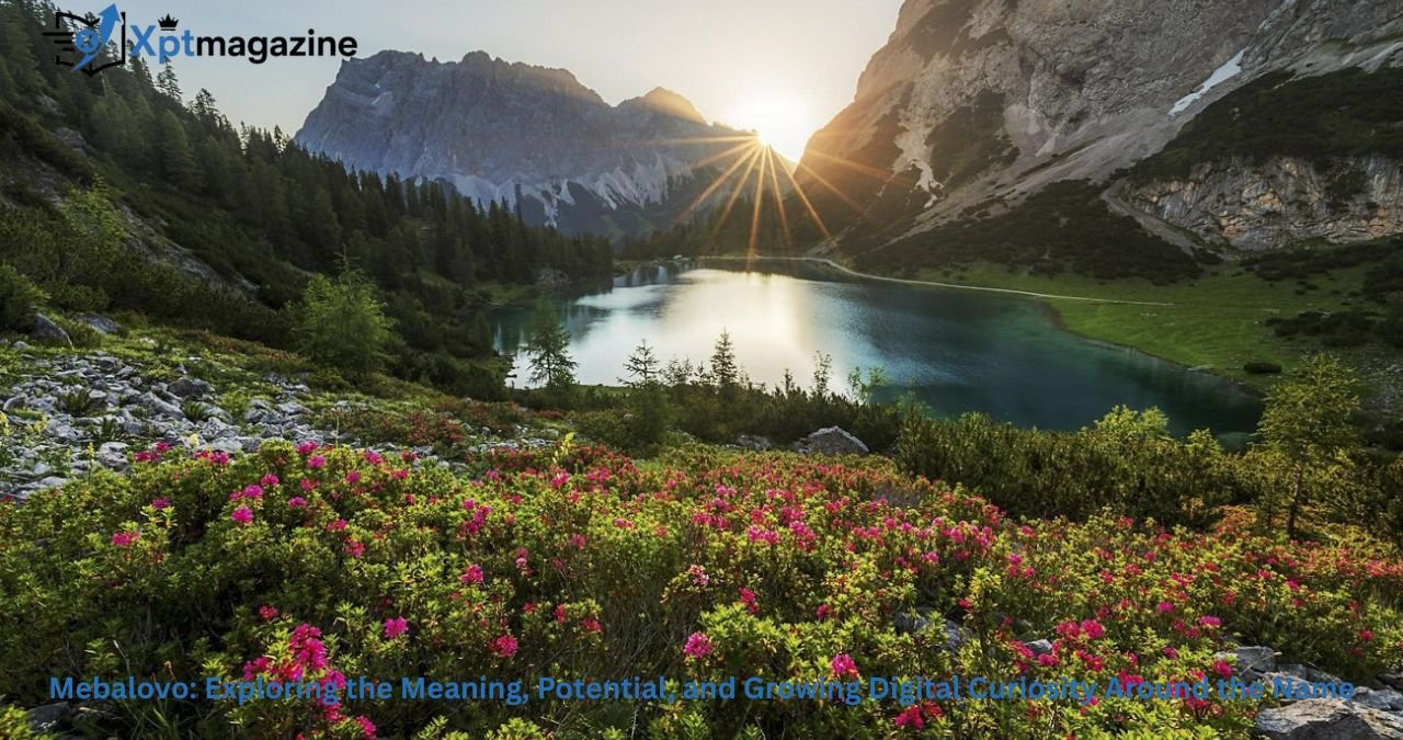 Mebalovo: Exploring the Meaning, Potential, and Growing Digital Curiosity Around the Name