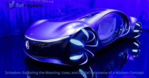 Schedow: Exploring the Meaning, Uses, and Digital Relevance of a Modern Concept